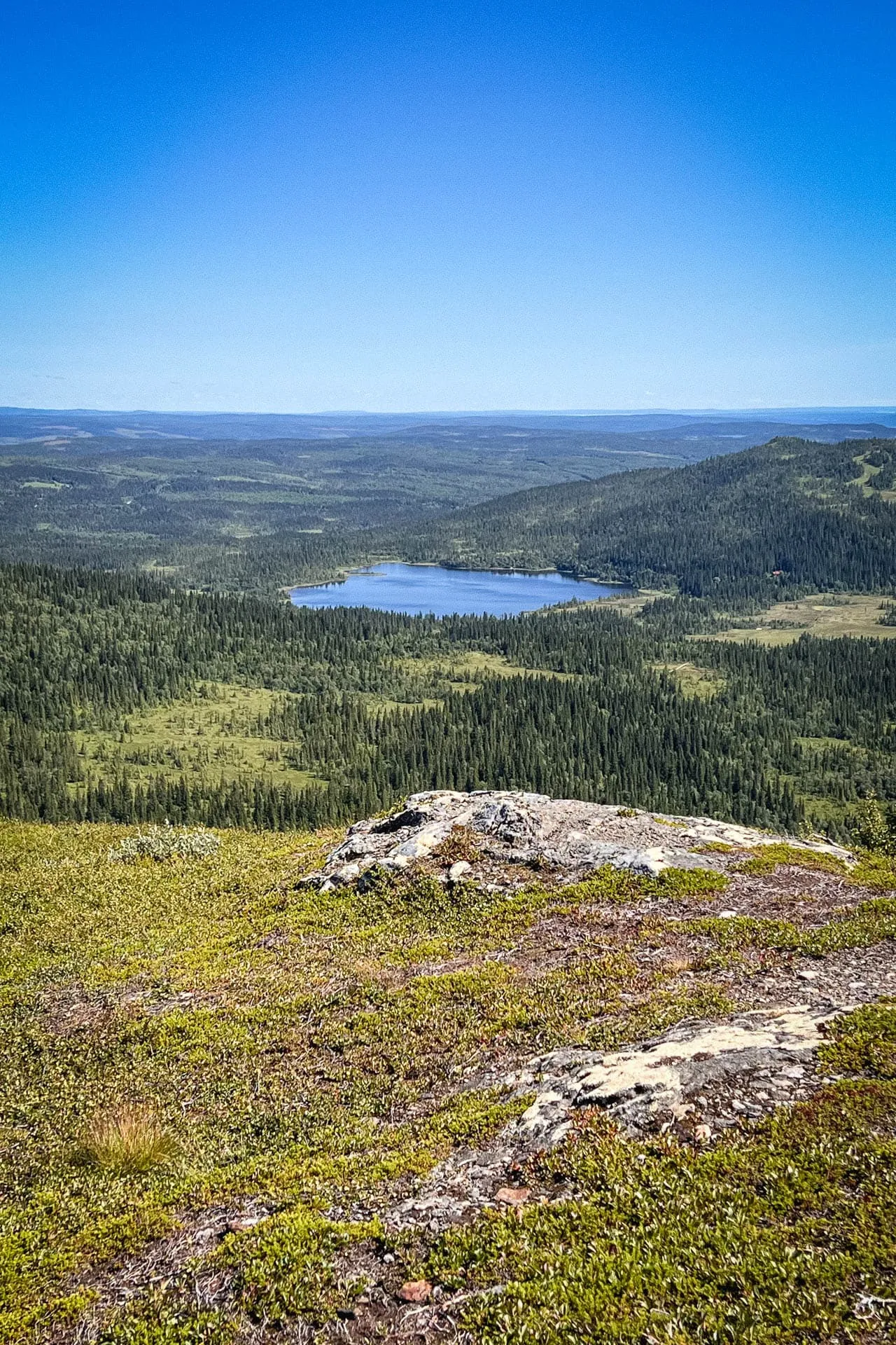 Utsikt från Totthummeln.